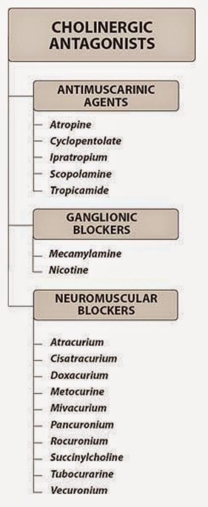 LLM knowledge graph drug purpose